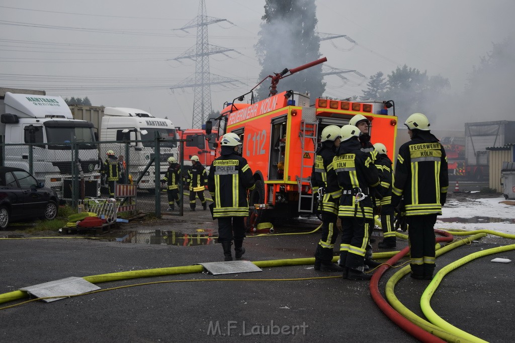 Feuer 3 Rheinkassel Feldkasseler Weg P1692.JPG - Miklos Laubert